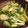 料理スキになってきた's cooksnap of when they made エシャロットを簡単味噌だれで炒め.