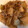 やんしゅ's cooksnap of when they made 大根のしょうが焼き.