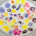 aikko1013's cooksnap of when they made 香るエディブルフラワーの砂糖漬け.