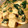 がりゅー。's cooksnap of when they made 冬においしい…ほうれん草の卵とじ.
