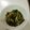 YOU1416's cooksnap of when they made レタスとカニカマのマヨネーズ炒め.