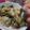 クックM5IJW5☆'s cooksnap of when they made ミネフジツボの酒蒸し.