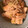 クックD4LCV2☆'s cooksnap of when they made 簡単！厚揚げとえのきの生姜煮.