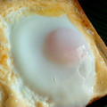 curisupin's cooksnap of when they made 卵マヨトースト.