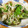 低カロ探検隊's cooksnap of when they made 菜の花と新玉ねぎの和え物.