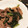 ♡とみぃ♡'s cooksnap of when they made ほうれん草と牛肉のごま和え.