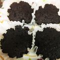 ケコ茶's cooksnap of when they made レンジで5分!激ウマおからチョコケーキ♡.