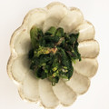 あきenough's cooksnap of when they made 菜の花のからし和え.