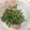 クックKYHAYD☆'s cooksnap of when they made 大根の葉っぱ炒め.