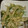 クックLJ2W4Q☆'s cooksnap of when they made お弁当に…茎わかめの明太マヨ炒め♪.