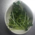 もりのりころ's cooksnap of when they made ご飯の友！！共？カイワレのおかか和え.