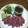 miijm's cooksnap of when they made 【簡単】和風ローストビーフ　.