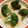クッカーまさおちゃん's cooksnap of when they made ブロッコリーとベーコンのカルボナーラ.