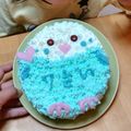 midoma_rin's cooksnap of when they made ことり隊 セキセイインコ 立体ケーキ.