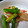 ダビデンコ's cooksnap of when they made 簡単おつまみ！エビとアスパラ炒め.