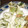 ひむとも's cooksnap of when they made ふきのとうの天ぷら.
