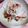 ＴＯＭＯＷＡＴ's cooksnap of when they made ❁チャーシューに長ネギ混ぜただけ❁.