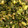 クックS59WM5☆'s cooksnap of when they made ごはんのおとも☆かぶの葉の甘辛炒め.