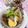 ゆうあやまま☆'s cooksnap of when they made あっさり豚＆手羽元の梅煮.