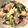クックWY4OJ3☆'s cooksnap of when they made 小松菜としめじのオイスター炒め.