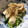 mantacarp's cooksnap of when they made 簡単小松菜と豆腐のおひたし。煮浸し。.