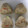 綸子*'s cooksnap of when they made 枝豆と舞茸の炊き込みごはん.