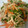 lovekdk's cooksnap of when they made ささみの和え物.