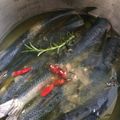 紗重桂's cooksnap of when they made 自家製オイルサーディン・いわしのオイル煮.