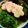 ちあみわ's cooksnap of when they made セリと生ワカメと花麩DE春のお浸し♪.