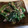 gulymlin's cooksnap of when they made 和えるだけ！【ほうれん草のマヨぽん和え】.