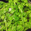 yunapi☆'s cooksnap of when they made こごみの下処理.