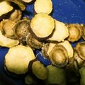 （＊あωや＊）'s cooksnap of when they made ノンオイル☆レンジで簡単野菜チップス.