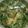 しろはる。's cooksnap of when they made にら玉中華スープ♪.