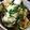haRu**'s cooksnap of when they made 薬味たっぷり揚げ出し豆腐のきのこあんかけ.