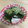 pMAOq0v0's cooksnap of when they made 鶏肉と青梗菜の中華炒め♪簡単材料2つ.