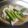 iti5home's cooksnap of when they made 真鱈とアスパラのさっと煮【ワンパン料理】.