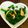 サカアキ's cooksnap of when they made 春の一品！菜の花のからし和え.