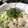 brenandyu's cooksnap of when they made 糖質制限!ベトナム風冷やし中華.