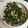 クックFWWQKF☆'s cooksnap of when they made 夏に☆豚こまとニンニクの芽のスタミナ炒め.