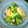 パサンドラ's cooksnap of when they made 小松菜のオイスターソース炒め.