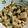 まま食いて's cooksnap of when they made 豆腐、セロリ、カシューナッツ炒め.