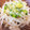 まよちゅちゅ's cooksnap of when they made もやしのナムル★簡単ネギ塩だれ.