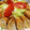 クックAR1QB1☆'s cooksnap of when they made こってり☆豚ロースのもやし巻き.