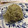 Amalka's cooksnap of when they made 福井県だって！とろろ昆布おにぎり食べるよ.