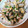まきゃすん's cooksnap of when they made あさりのバター酒蒸し.