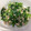 aki3684's cooksnap of when they made 菜の花のツナマヨ和え.