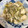 みりちゃん♪'s cooksnap of when they made 鶏むね肉ともやし しめじの味噌コンソメ煮.