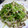 myukitty's cooksnap of when they made ☆豆苗ときのこの炒めもの☆.