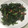 にゃあ７７７'s cooksnap of when they made ベタっとしない！5分でほうれん草のソテー.