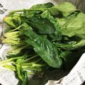 ちょ〜☆'s cooksnap of when they made 葉野菜を長期間新鮮なまま保存する方法.